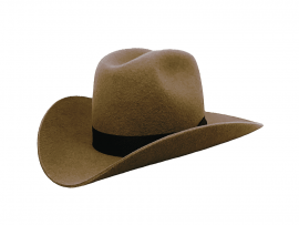 Westernhut Rodeo in Ocker