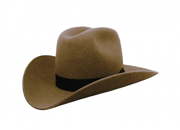 Westernhut Rodeo in Ocker