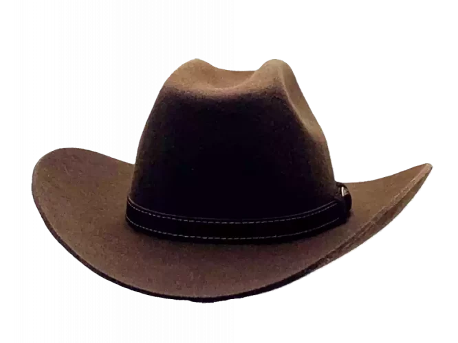 Westernhut Rodeo Braun Mit Lederhutband
