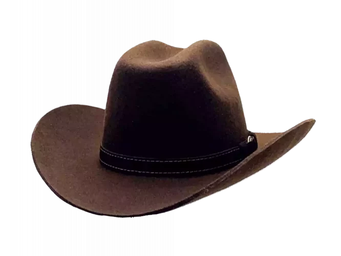 Westernhut Rodeo Braun Mit Lederhutband