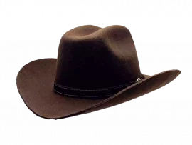 Westernhut Rodeo Braun Mit Lederhutband