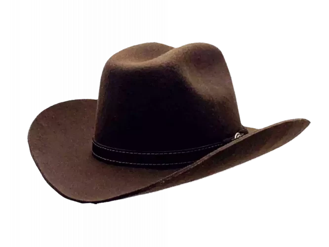 Westernhut Rodeo Braun Mit Lederhutband