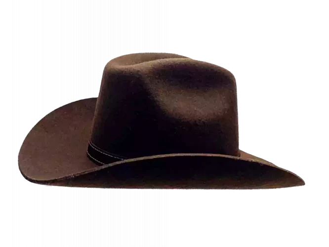 Westernhut Rodeo Braun Mit Lederhutband