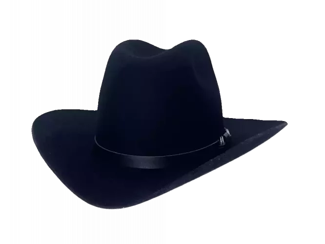 Westernhut Rodeo Schwarz Mit Lederhutband
