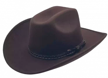 Westernhut Montana Braun Mit Bridee
