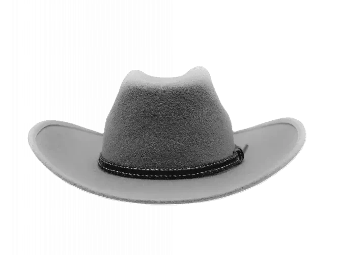 Westernhut Montana Grau Mit Bidee