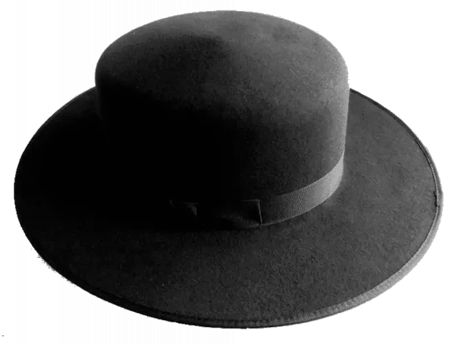 Boss of the Plain Westernhut