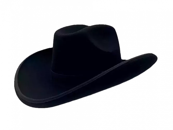 Westernhut Sonora