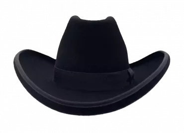 Westernhut Sonora