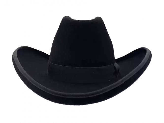 Westernhut Sonora