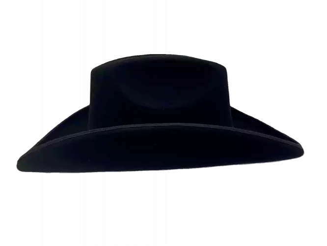 Westernhut Sonora