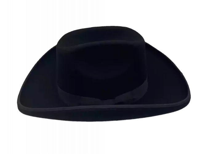Westernhut Sonora