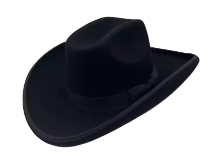 Westernhut Sonora