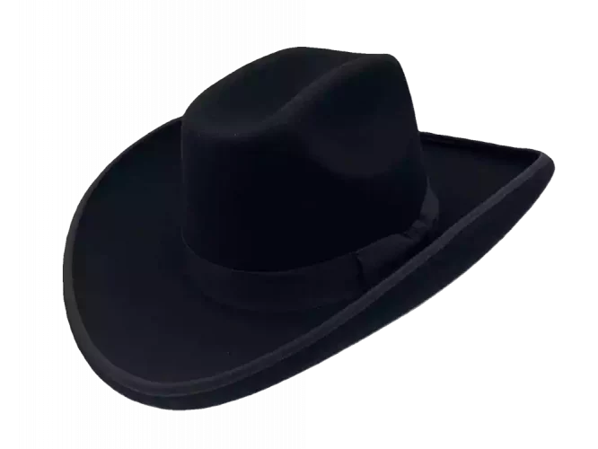 Westernhut Sonora