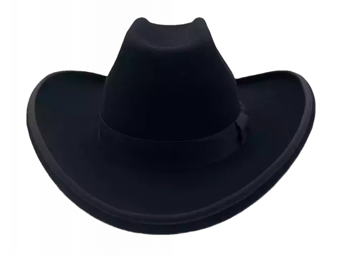 Westernhut Sonora