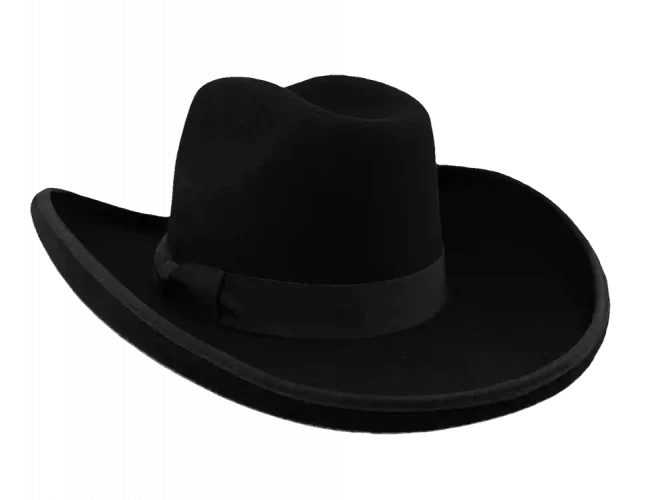 Westernhut Sonora